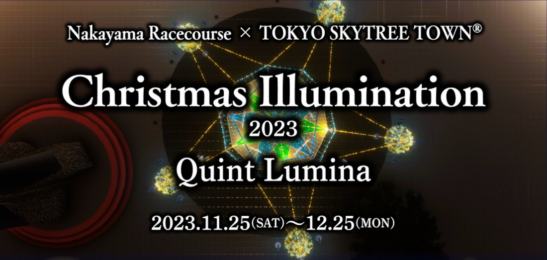 Christmas Illumination 2023 Quint Lumina